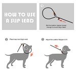 Fida Reflective Slip Lead Dog Leash, 6FT