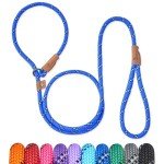 Blue Stripe 5 FT Slip Lead Dog Leash
