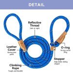 Blue Stripe 5 FT Slip Lead Dog Leash