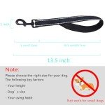 Heavy Duty Short Dog Leash with Padded Handle