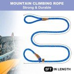 Blue Stripe 5 FT Slip Lead Dog Leash