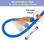 Blue Stripe 5 FT Slip Lead Dog Leash