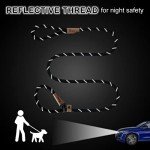 Blue Stripe 5 FT Slip Lead Dog Leash