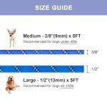 Blue Stripe 5 FT Slip Lead Dog Leash