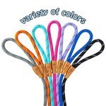 Blue Stripe 5 FT Slip Lead Dog Leash