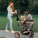 Foldable Pet Stroller for Small Dogs and Cats