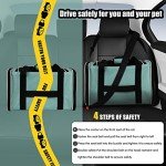 Airline-Approved Soft-Sided Pet Carrier Bag