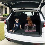 Soft-Sided Pet Carrier for Large Cats and Puppies