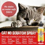 Bodhi Dog Cat Deterrent Spray with Essential Oils