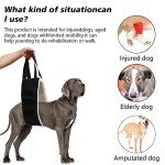 Heavy-Duty Dog Sling Lift Harness for Large Dogs
