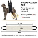 Heavy-Duty Dog Sling Lift Harness for Large Dogs