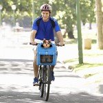 Expandable Dog Bike Basket Carrier - Blue