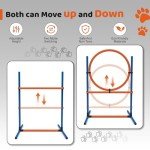 Sedeke 15 Piece Dog Agility Training Kit