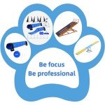 10-Foot Dog Agility Training Tunnel with Accessories