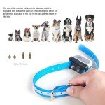 Wireless Dog Fence with Two-Way Signal and Collars