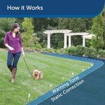 PetSafe In-Ground Fence for Stubborn Dogs and Cats