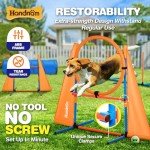 Complete Dog Agility Course Set for Puppies