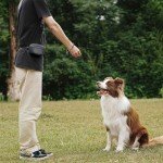 AOKLANT Dog Training Treat Pouch with Clicker