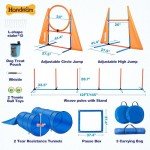 Complete Dog Agility Course Set for Puppies