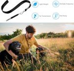 Adjustable Silent Dog Whistle - 2 Pack Set