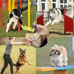 2-Pack Ultrasonic Dog Whistles for Training