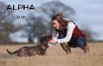 Alpha 210.5 Dog Training Whistle - Ergonomic Design