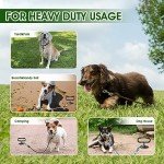 Heavy-Duty Dog Stake for Yard and Outdoor Use