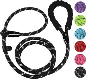 Durable 6FT Dog Leash with Padded Handle