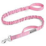 Heavy Duty Bungee Dog Leash with Two Handles