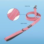Pink Reflective Dog Leash with Neoprene Handle