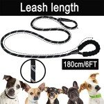 Durable 6FT Dog Leash with Padded Handle