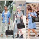 Lasaviin Fashion Dog Purse Carrier for Small Pets