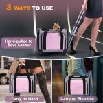 Airline Approved Rolling Pet Carrier for Puppies