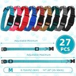 Amylove 27-Piece Adjustable Dog Collar Set