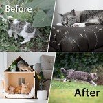 Peppermint Oil Cat Repellent - 10 Pack