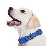 Amylove 27-Piece Adjustable Dog Collar Set