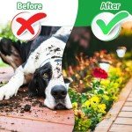 Natural Peppermint Oil Dog Deterrent Balls - 10 Pack