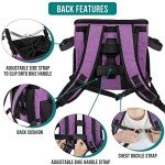 PetAmi Soft-Sided Dog Bike Basket - Purple