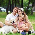 Heavy-Duty 16ft Dog Tie Out Cable & Stake