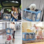 Large Soft-Sided Dog and Cat Carrier - Airline Approved