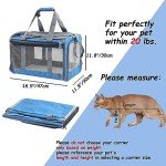 Large Soft-Sided Dog and Cat Carrier - Airline Approved