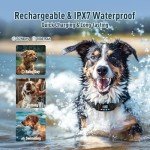 Wireless Dog Fence & Training Collar for 2 Dogs