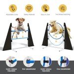Backyard Dog Agility Training Kit with Tunnel & More