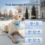 Wireless Dog Fence & Training Collar for 2 Dogs