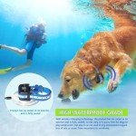 Wireless GPS Dog Fence System with Waterproof Collar