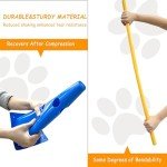 Dog Agility Hurdle Cone Set with Carry Bag