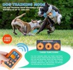 Wireless Dog Fence & Training Collar System