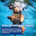 Wireless Dog Fence & Training Collar System