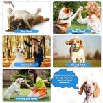 Adjustable Ultrasonic Dog Whistle 2-Pack