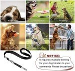 2 Pack Adjustable Dog Training Whistles